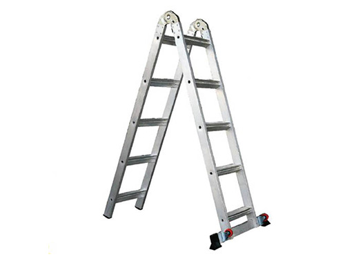 Dual purpose ladder